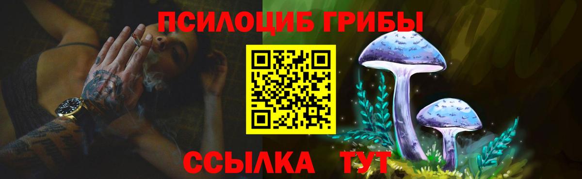 Галлюциногенные грибы ЛСД  цена   Вход с VPN  Ростов-на-Дону  Псилоцибиновые грибы Psilocybe 